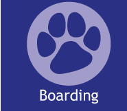 boarding