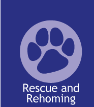 rescue and rehoming